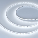 Светодиодная лента UL-A140-8mm 24V (5 W/m, IP20, 5m) (Arlight, 7 лет) (белый 6000K), 5м