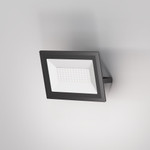 Прожектор Flood 6500К 50Вт IP 65 FL001-L50B6K, 1шт
