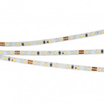 Лента Microled-M120-4mm 24V (5.4 W/m, IP20, 2216, 5m) (холодный белый 8000K), 5м