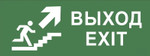 Самоклеящаяся этикетка ЭРА INFO-SSA-110 350х130мм “Выход/лестница вверх/фигура” SSA-101, 5шт