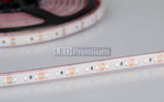 Светодиодная лента RTW 2-5000PGS 12V 2x (3528, 600 LED) (красный), 5м