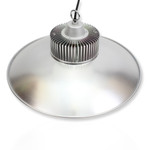 Светодиодный светильник D02-50-RB (50W, рым-болт, белый) (белый 6000K), 1шт