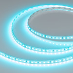 Лента RT-A120-8mm 24V (9.6 W/m, IP20, 2835, 5m) (бирюзовый), 5м