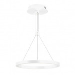 Светильник SP-Congo-CAN-1-R400-24W (WH, 120 deg, 230V) (Arlight, IP20 Металл, 5 лет) (теплый белый 3000K), 1шт