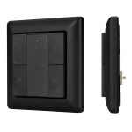 Панель DALI-223-1G-2S-IN-BLACK (BUS), 1шт