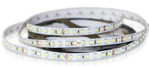 Светодиодная лента LP SMD 3528, 600 Led, IP33, 24V, Standart (теплый белый 3000K), 5м