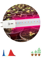 Фитолампа для растений светодиодная ЭРА FITO-9W-RB-Т8-G13-NL красно-синего спектра 9 Вт Т8 G13, 1шт
