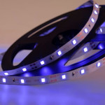 Лента светодиодная 12В, SMD2835, 4,8Вт/м, 60 LED/м, синий, 8мм, 5м, IP20 LAMPER, 1м
