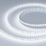 Лента RT-A120-8mm 12V (14.4 W/m, IP20, 2835, 5m) (холодный белый 8000K), 5м