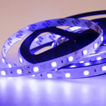 Лента светодиодная 12В, SMD5050, 14,4Вт/м, 60 LED/м, синий, 10мм, 5м, IP20 LAMPER, 1м
