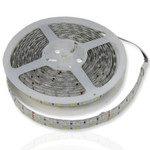 Светодиодная лента SMD 5050, 600 Led, IP65, 24V, Standart, Rgb+white (Rgb+white), 5м