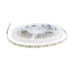 Лента NT-A120-8mm 12V (9.6 W/m, IP20, 3528, 5m) (дневной белый 4000K), 5м