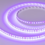 Лента RT-A120-8mm 24V (9.6 W/m, IP20, 2835, 5m) (фиолетовый), 5м