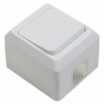 Выключатель одноклавишный влагозащищенный открытой установки 10 А IP44 Proconnect, 1шт