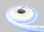 Светодиодная лента LP SMD 2835, 600 Led, 12V, IP65 (белый 6000K), 5м