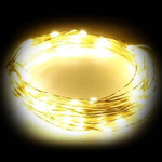 Светодиодная нить DSL-10000-12V-Warm (1608, 100LED, IP65, теплый белый), 1шт