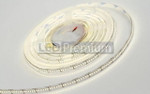 Светодиодная лента RT6-3528-240 24V 4x (1200 LED) (дневной белый 4000K), 5м