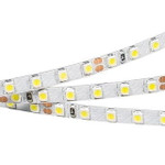 Светодиодная лента RT 2-5000 24V 5mm 2x (3528, 600 LED, LUX) (белый 6000K), 5м