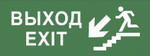 Самоклеящаяся этикетка ЭРА INFO-SSA-109 350х130мм “Выход/лестница вниз/фигура” SSA-101, 5шт