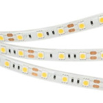 Светодиодная лента RTW 2-5000SE 12V 2x (5060, 300 LED, LUX) (белый 6000K), 5м
