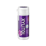 Жевательная резинка Xylitol Blueberry Mint (банка) 26.1 гр Япония