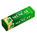 Жев.резинка Lotte &amp; Muscat   26,1гр