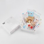 ROXY-KIDS Набор для новорожденного подарочный BUNNY BOX , 10 предметов RGF-001