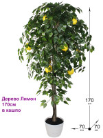 Искусственное Лимонное дерево 170см в кашпо (Лимонное дерево)