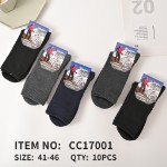Мужские махровые термо носки ALASKA 10 пар