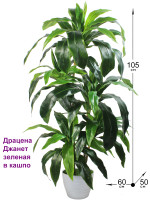 Искусственная драцена Джанет зеленая 105см в кашпо (Драцены)