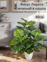 Искусственное растение Фикус Лирата зеленый в кашпо (Фикус Лирата)