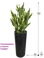 Сансевиерия искусственная 120см в высоком черном кашпо (Сансевиерия)