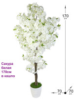 Сакура 170см белая в кашпо (Сакуры)