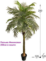 Пальма Финиковая искусственная 250см в кашпо (Большие деревья)