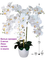 Орхидеи искусственные Люкс в кашпо белоснежные 5 веток (Орхидеи в кашпо)