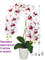 Искусственные Орхидеи Крапчатые белые 2 ветки латекс 55см в кашпо (Орхидеи в кашпо)
