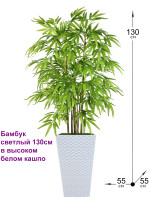 Искусственный Бамбук светлый 130см в белом кашпо ротанг (Бамбук)