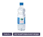 Артезианская природная питьевая вода «Воргольская» негазированная. 0,6 л. ПЭТ